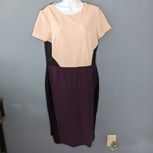 Vince Camuto Color Block Fitted Mid Length Dress (Sz 14)